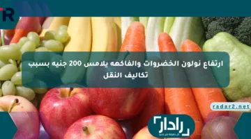 ارتفاع نولون الخضروات والفاكهة يلامس 200 جنيه بسبب تكاليف النقل